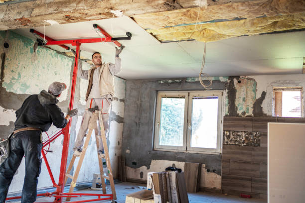 Best Insulation Installation Services in Marissa, IL